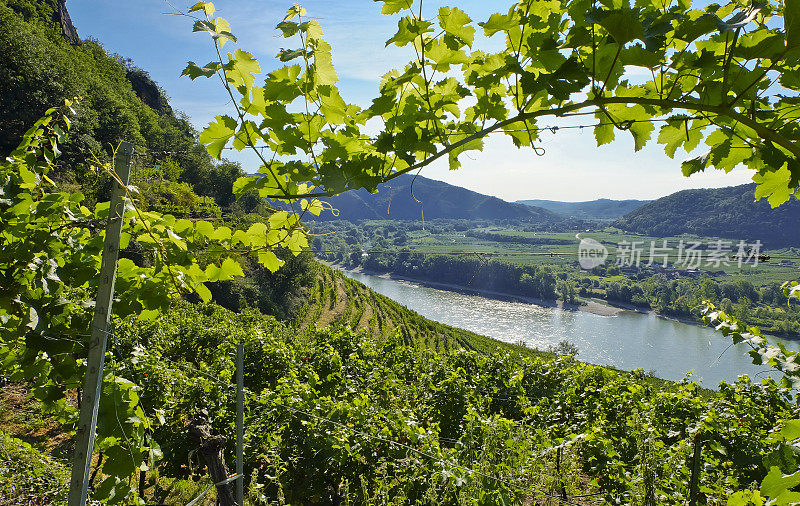 欣赏著名的多瑙河流域――拍摄于下奥地利的“Weissenkirchen in der Wachau”